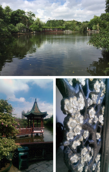 Dongguan gardens