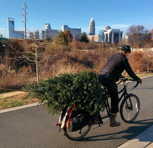 Christmas Shopping By bike - How to carry a christmas tree on your bike