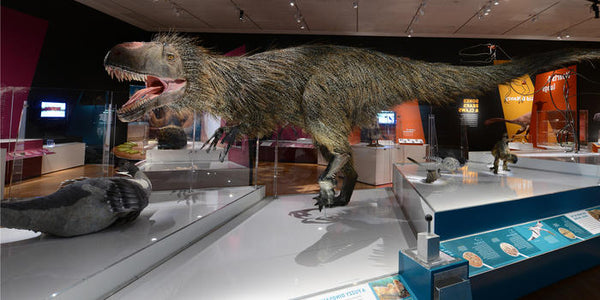 Terez visits the Museum of Natural History, Dinosaurs Among Us Exhibit