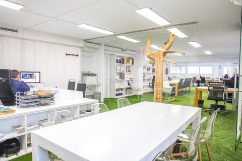 artificial grass flooring in office space