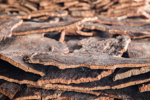 Cork bark detail