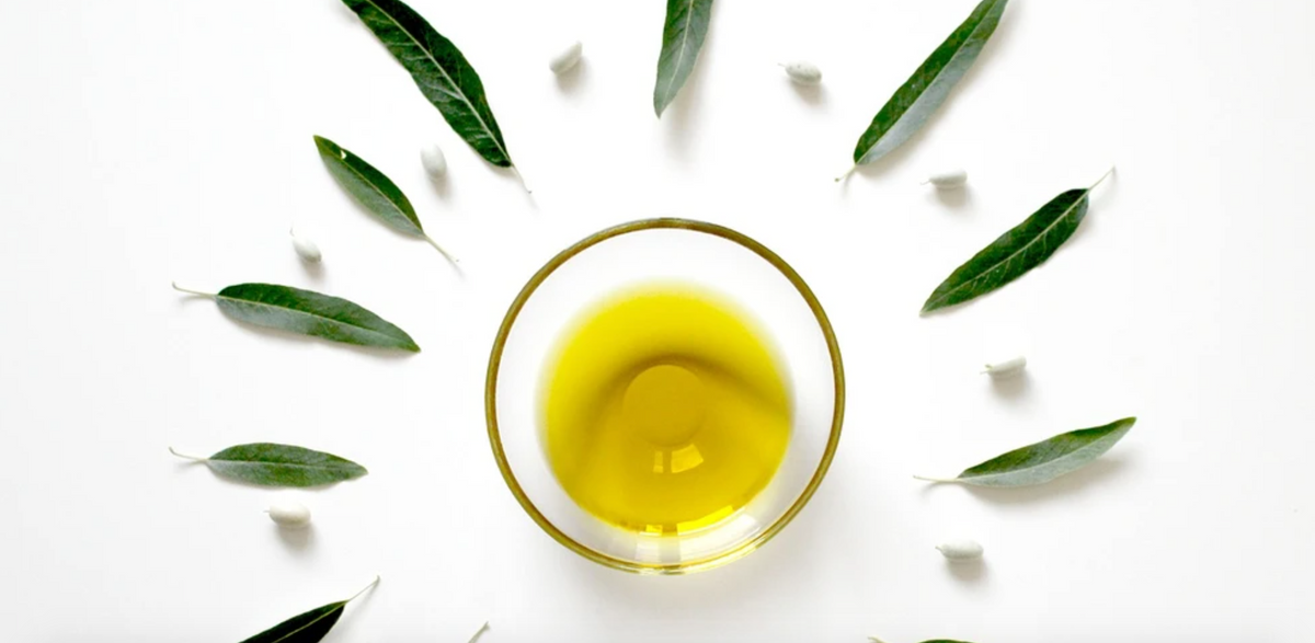 How To Use Olive Oil In Your Recipes 41 Olive 