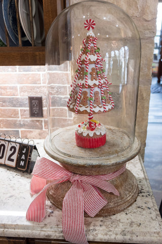 Gingerbread tree in glass dome
