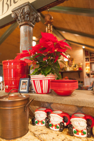 Christmas in the Kitchen - Santa Mugs and Poinsettias