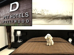 d pet hotels logo