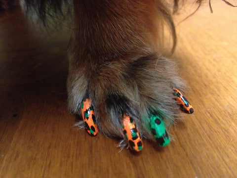 Halloween Dog Nail Polish