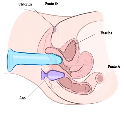 Dildo e vibratori la doppia penetrazione