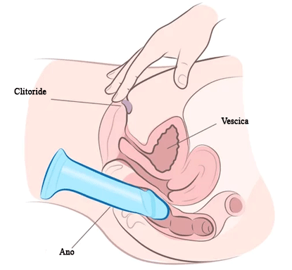 Dildo e vibratori stimolazione anale