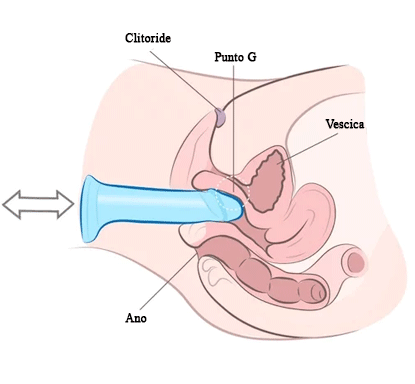 Dildo e vibratori tecnica breve epoco profondo