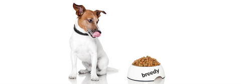 breedyshop Pet Food - breedy | Pamper Your Pet