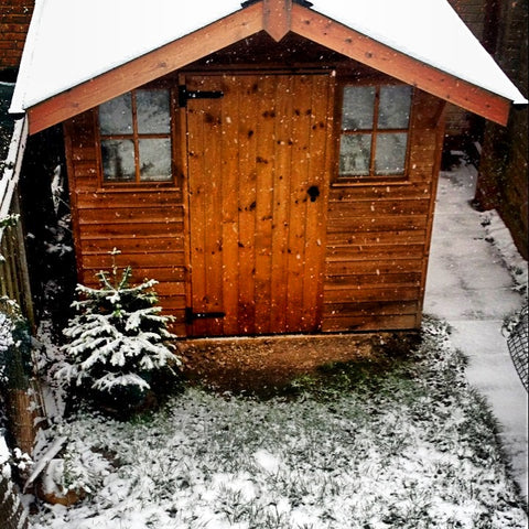 Snowy cabin