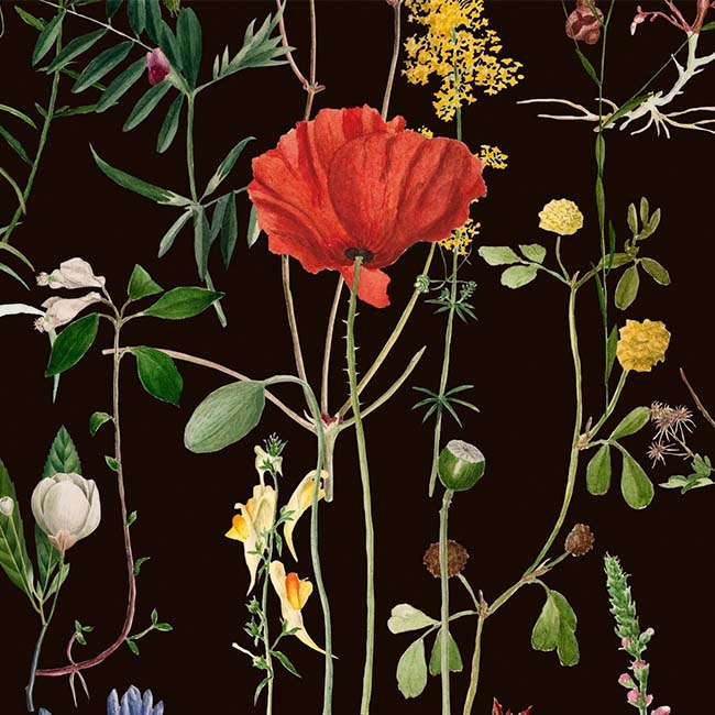 Modern Floral Print Wallpaper | Burke Décor – BURKE DECOR