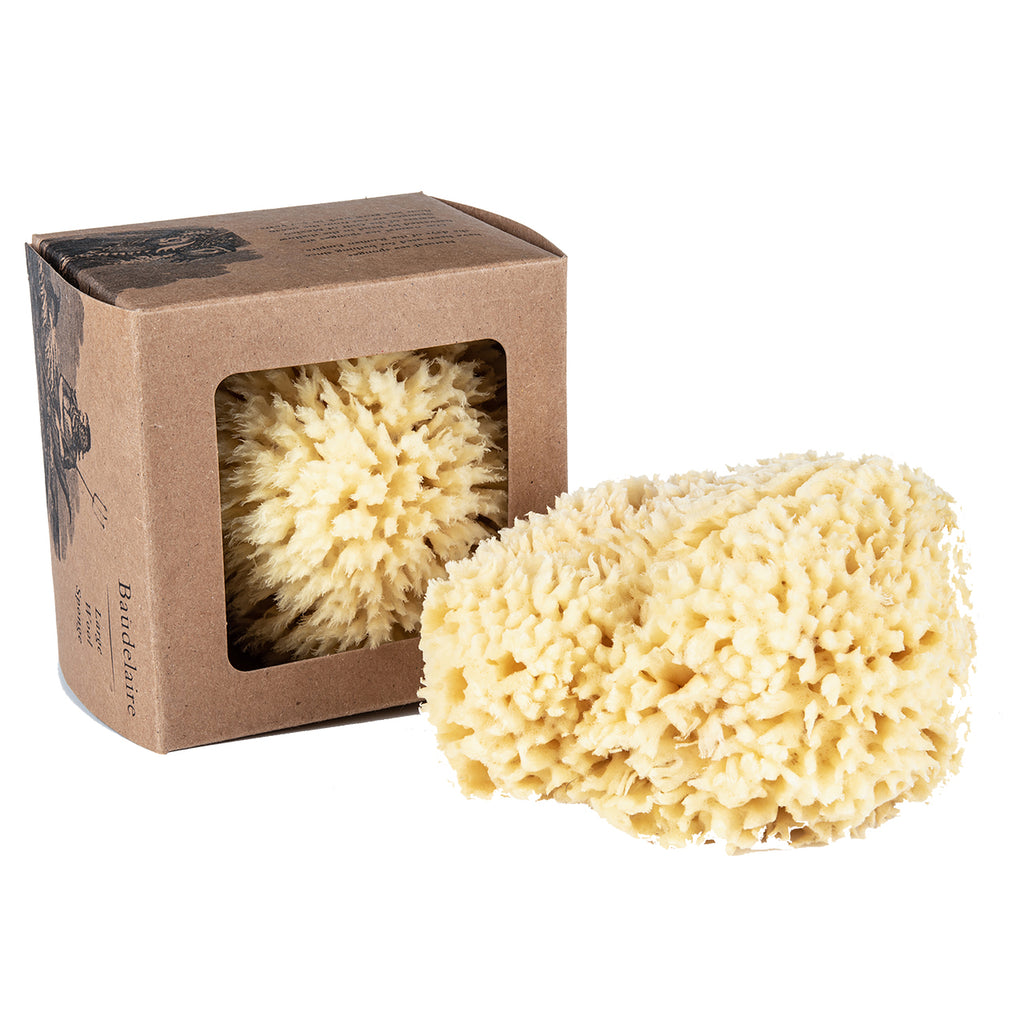 NATURAL SPONGE 3-PACK CARRIBEAN SILK SPONGE