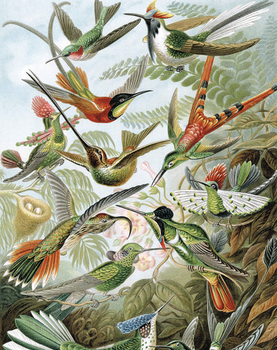Exotic Birds 023 Wallpaper Panel by KEK Amsterdam