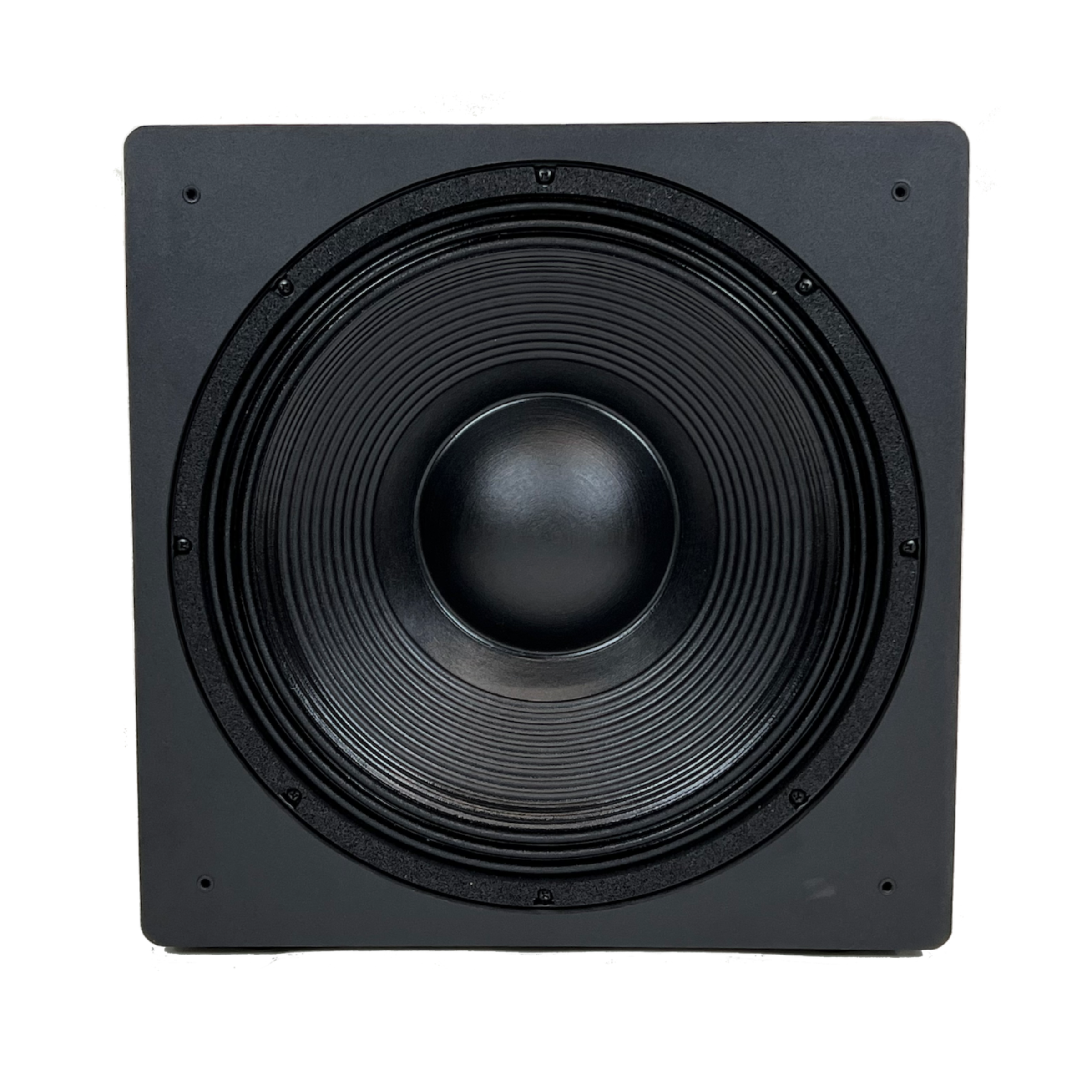 birco speaker 12 inch