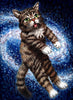 Ville Ericsson - "Lil Bub, Big Bang"