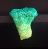 Dan Lam - "Coral Reefer"