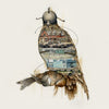 Pat Perry - "A Tiercal Kills a House Sparrow's Spirit"
