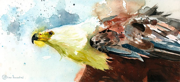 Lou Pimentel - "African Fish Bird"