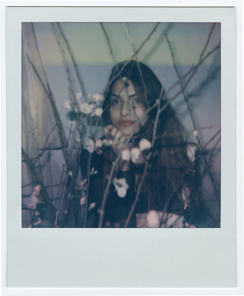 Helice Wen - "Polaroid No. 2"