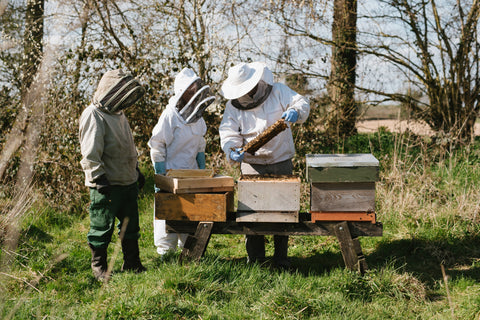 millbee beekeeping ireland