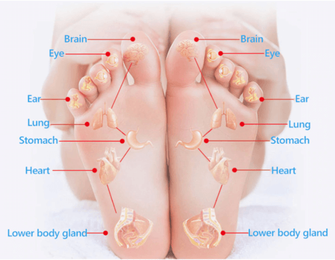 How Does Magnetic Acupressure Reflexology Gel Insoles Works