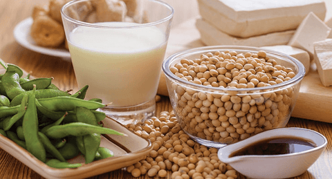 Soy Protein Foods