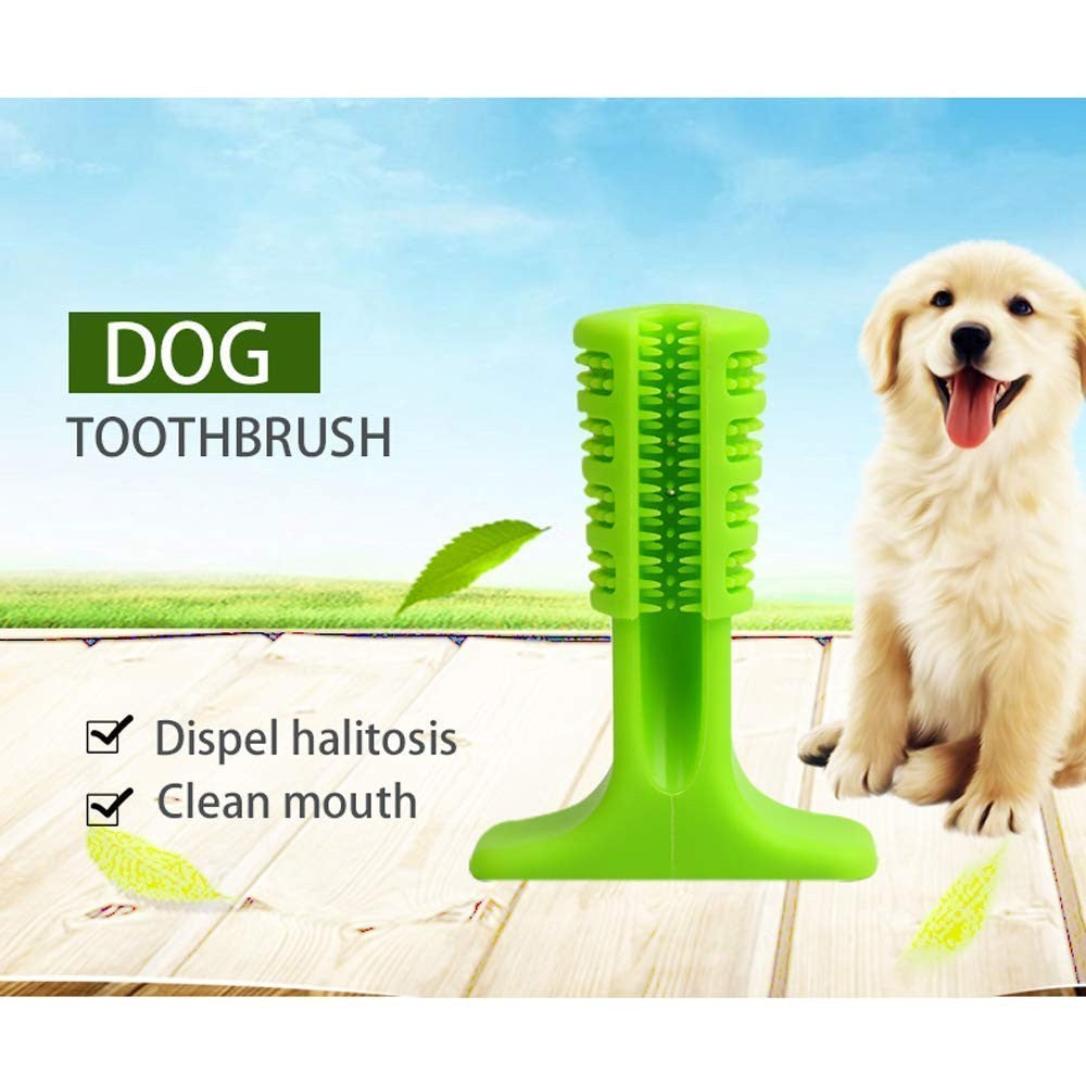 pet toothbrush