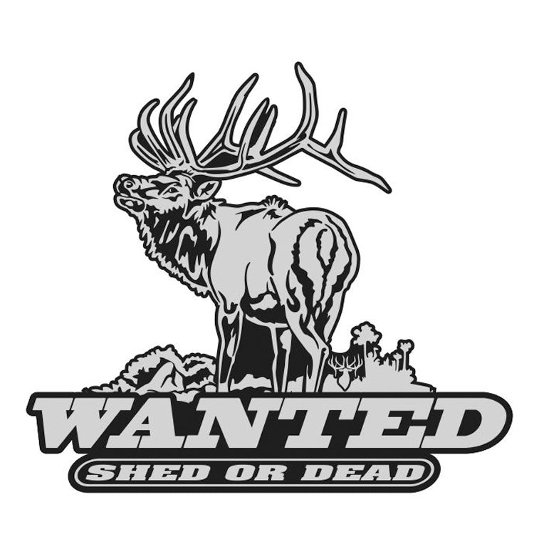 BULL ELK DECAL Titled "WANTED SHED OR DEAD" By Upstream 