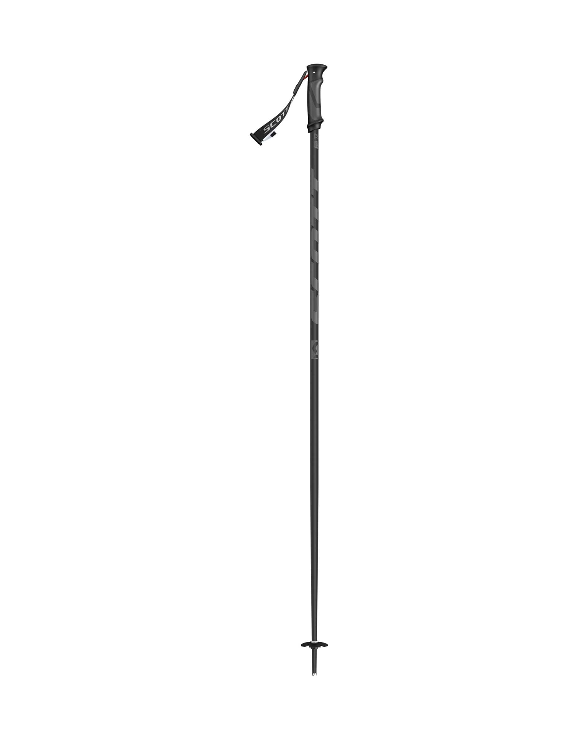 salomon arctic lady ski pole