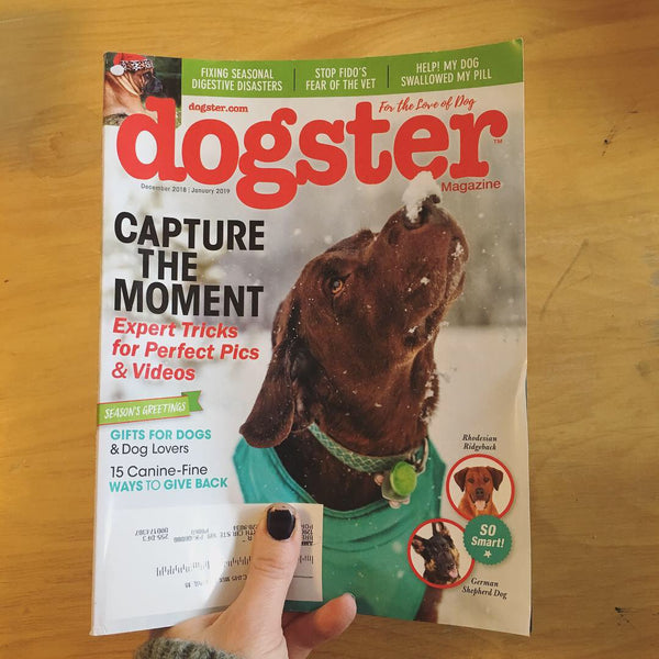 Dogster Magazine, Dec 2018 - Jan 2019