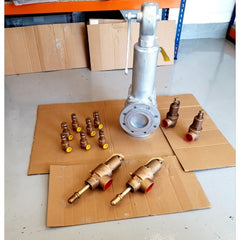 Safety Valves order Nabic and BESA