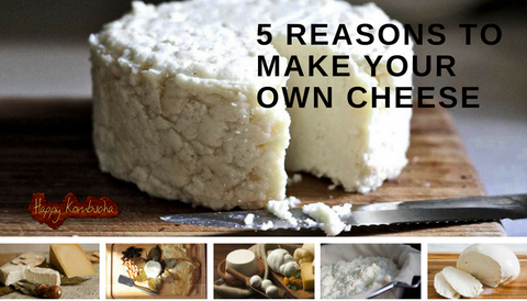 how to make your own cheese