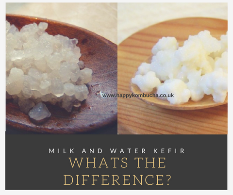 whats the difference, milk v water