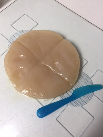 trimming a scoby 2