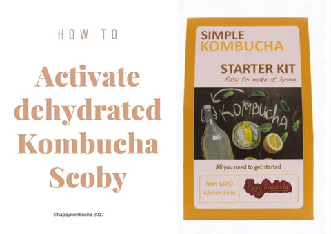 how to activate a dehydrated scoby