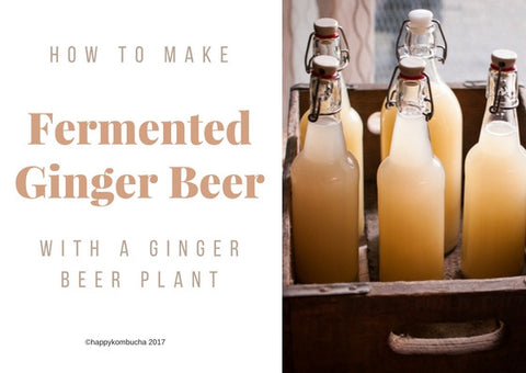 how to make ginger beer