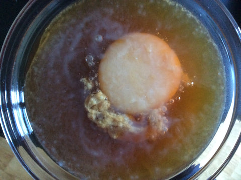 baby scoby