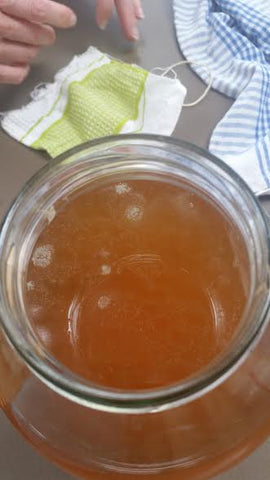 mouldy scoby 2