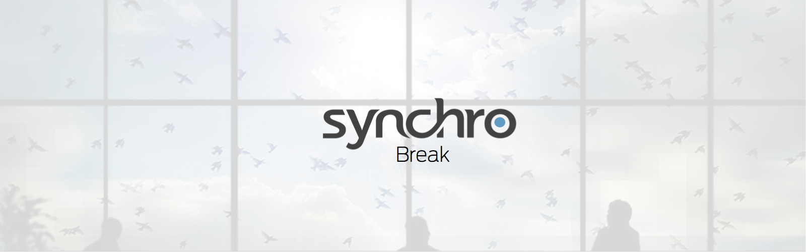 Synchro break banner