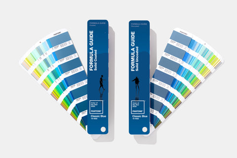 Pantone Color of the Year 2020 Formula Guide