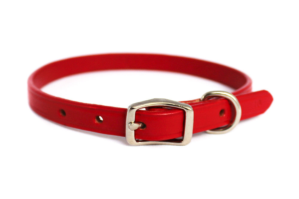 dog collar clipart - photo #24