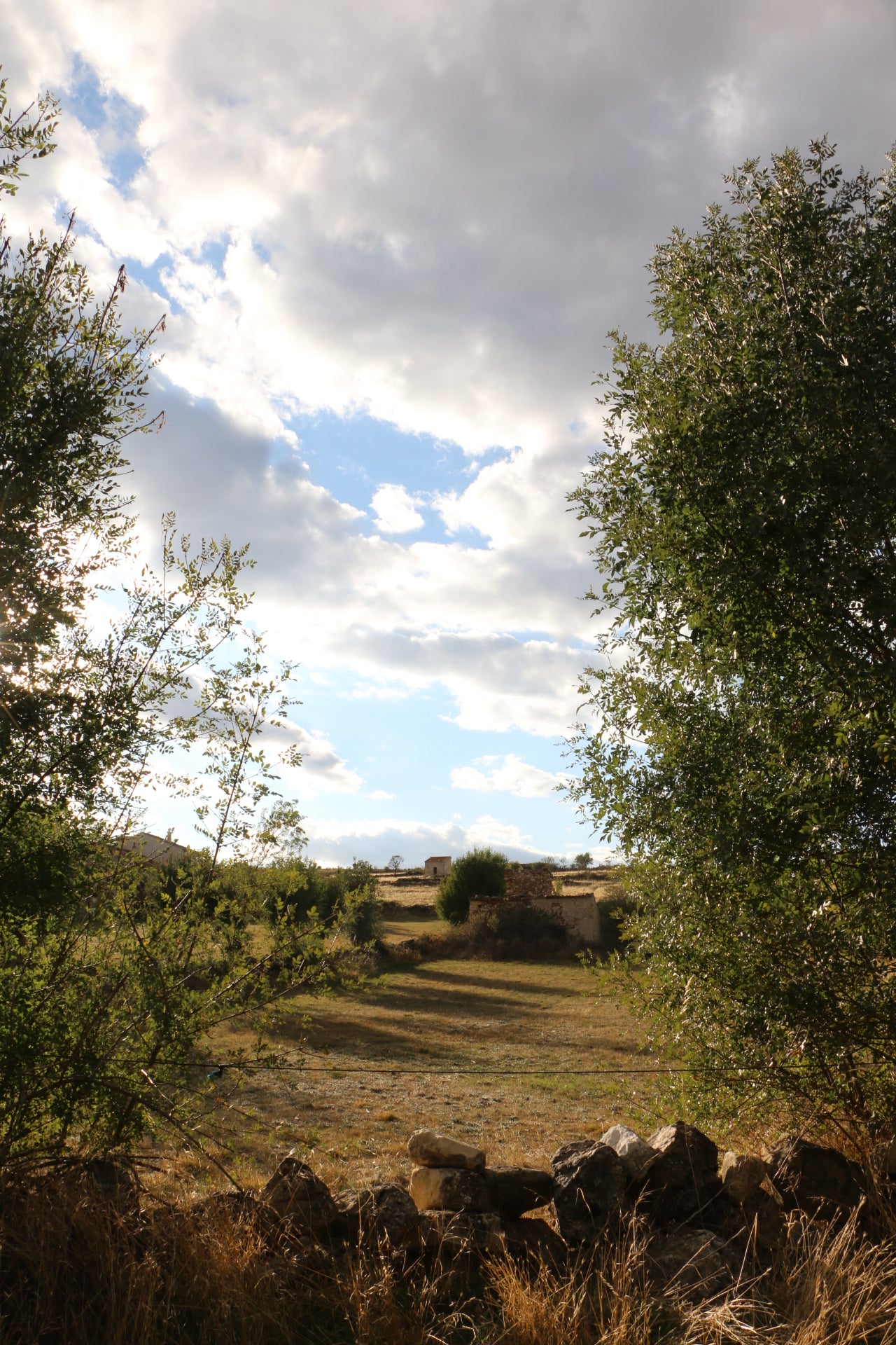 Countryside landscape of the Segovian sierra