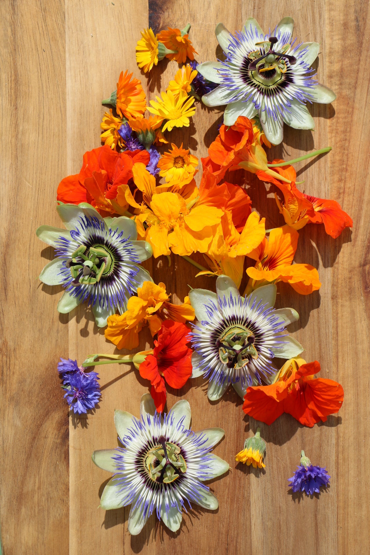 Tincture of flowers, passionflower, calendula, nasturtium, agastache and cornflower