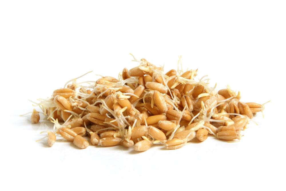Wheat germ, ingredient used in the elaboration of Los Jabones de Mi Mujer