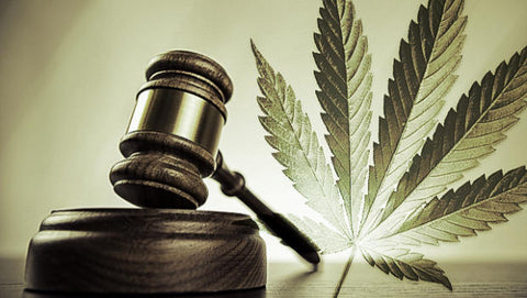 USA states to legalize marijuana