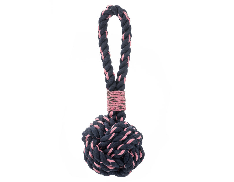 dog toy with rope