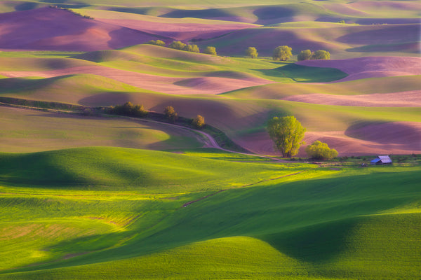 Fine art photography of rolling hills in the Palouse Washington by Lijah Hanley.