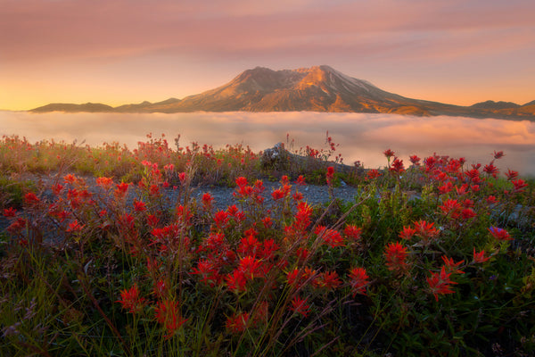 Mount Saint Helens Washington State by Lijah Hanley. 