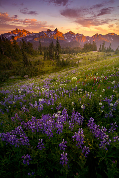 Tatoosh Range in Washington State by Lijah Hanley Nature Photography. 